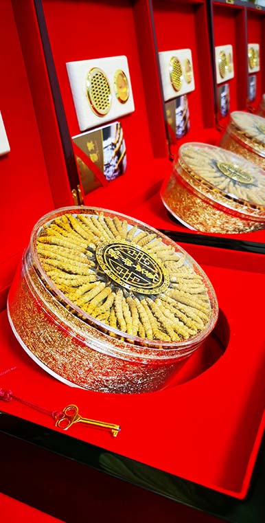 冬蟲(chóng)夏草